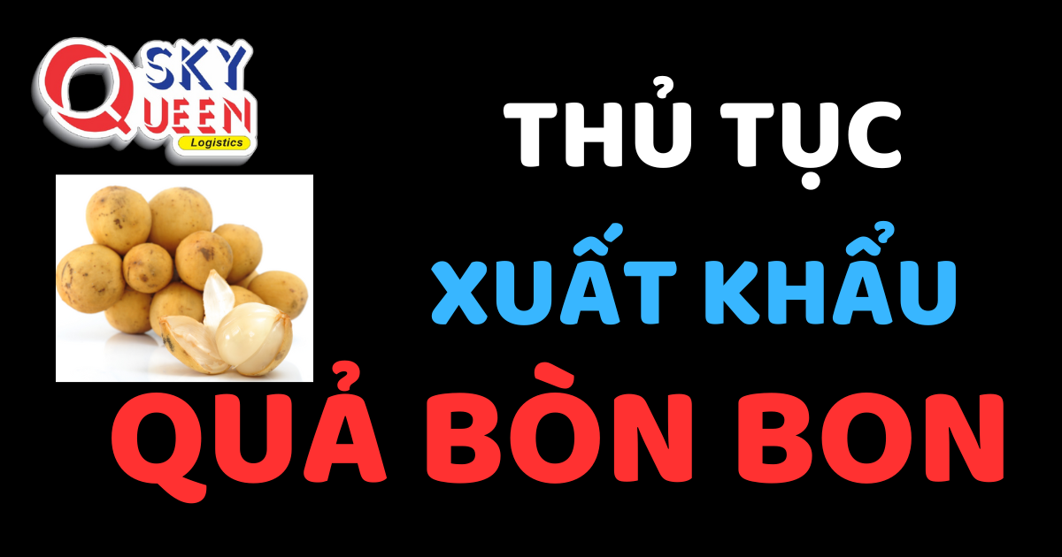 Tủ tục xuất khẩu Quả Bòn Bon - Sky Queen Logistics.