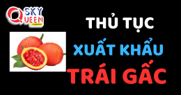 THỦ TỤC XUẤT KHẨU TRÁI GẤC