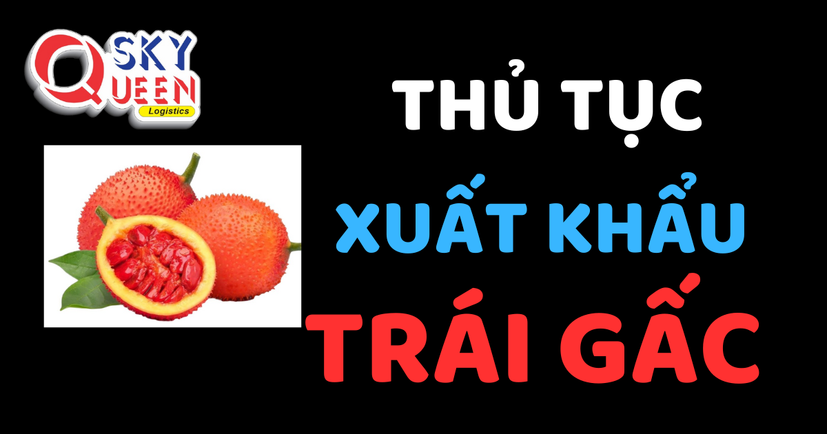 Thủ tục xuất khẩu Trái Gấc - Sky Queen Logistics.