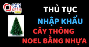 THỦ TỤC NHẬP KHẨU CÂY THÔNG NOEL BẰNG NHỰA