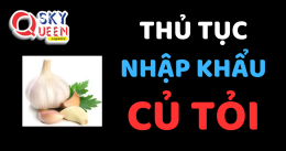 THỦ TỤC NHẬP KHẨU CỦ TỎI