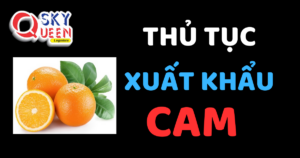 THỦ TỤC XUẤT KHẨU CAM