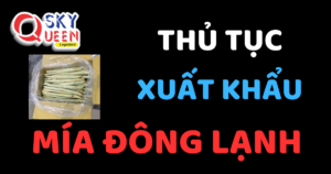 THỦ TỤC XUẤT KHẨU MÍA ĐÔNG LẠNH