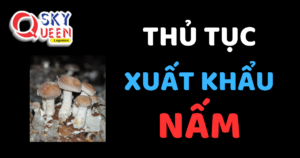 THỦ TỤC XUẤT KHẨU NẤM