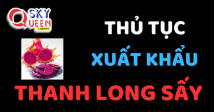 THỦ TỤC XUẤT KHẨU THANH LONG SẤY