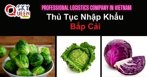 THỦ TỤC NHẬP KHẨU BẮP CẢI