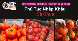 THỦ TỤC NHẬP KHẨU CÀ CHUA