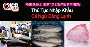 THỦ TỤC NHẬP KHẨU CÁ NGỪ ĐÔNG LẠNH