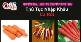 THỦ TỤC NHẬP KHẨU CÀ RỐT