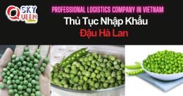 THỦ TỤC NHẬP KHẨU ĐẬU HÀ LAN