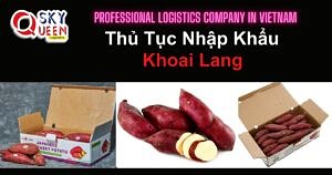 THỦ TỤC NHẬP KHẨU KHOAI LANG