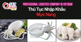 THỦ TỤC NHẬP KHẨU MỰC NANG