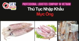 THỦ TỤC NHẬP KHẨU MỰC ỐNG