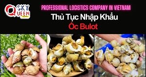 THỦ TỤC NHẬP KHẨU ỐC BULOT