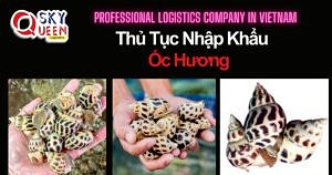 THỦ TỤC NHẬP KHẨU ỐC HƯƠNG