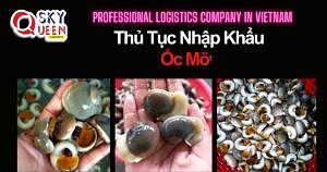 THỦ TỤC NHẬP KHẨU ỐC MỠ