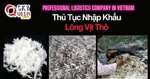 THỦ TỤC NHẬP KHẨU LÔNG VỊT THÔ