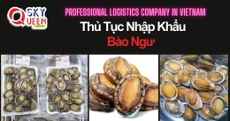 THỦ TỤC NHẬP KHẨU BÀO NGƯ