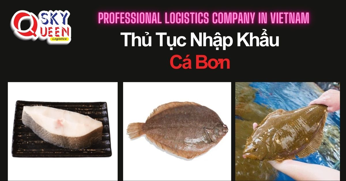 thu-tuc-nhap-khau-ca-bon-sky-queen-logistics