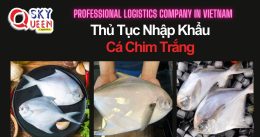 THỦ TỤC NHẬP KHẨU CÁ CHIM TRẮNG
