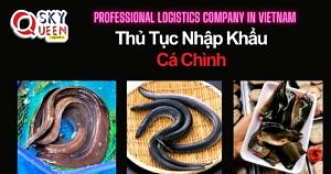 THỦ TỤC NHẬP KHẨU CÁ CHÌNH