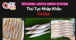 THỦ TỤC NHẬP KHẨU CÁ ĐỤC