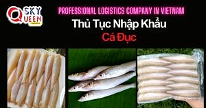 THỦ TỤC NHẬP KHẨU CÁ ĐỤC