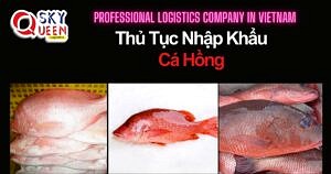 THỦ TỤC NHẬP KHẨU CÁ HỒNG