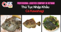THỦ TỤC NHẬP KHẨU CÁ KAWAHAGI