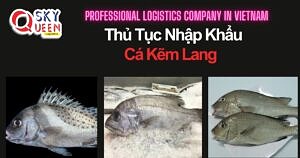 THỦ TỤC NHẬP KHẨU CÁ KẼM LANG SEKI ISAKI