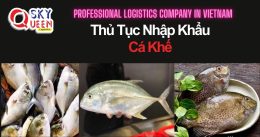 THỦ TỤC NHẬP KHẨU CÁ KHẾ