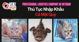 THỦ TỤC NHẬP KHẨU CÁ MẶT QUỶ