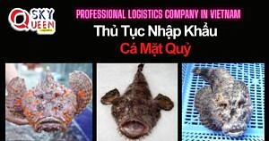 THỦ TỤC NHẬP KHẨU CÁ MẶT QUỶ