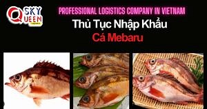 THỦ TỤC NHẬP KHẨU CÁ MEBARU