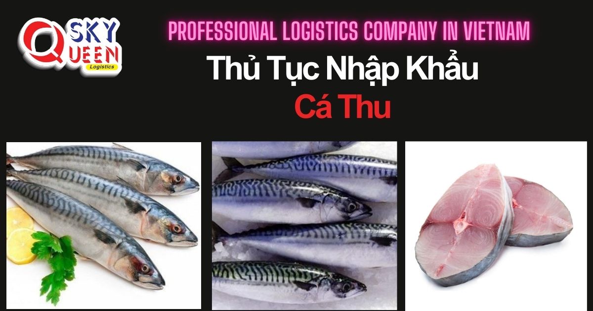 thu-tuc-nhap-khau-ca-thu-sky-queen-logistics