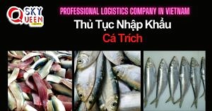 THỦ TỤC NHẬP KHẨU CÁ TRÍCH