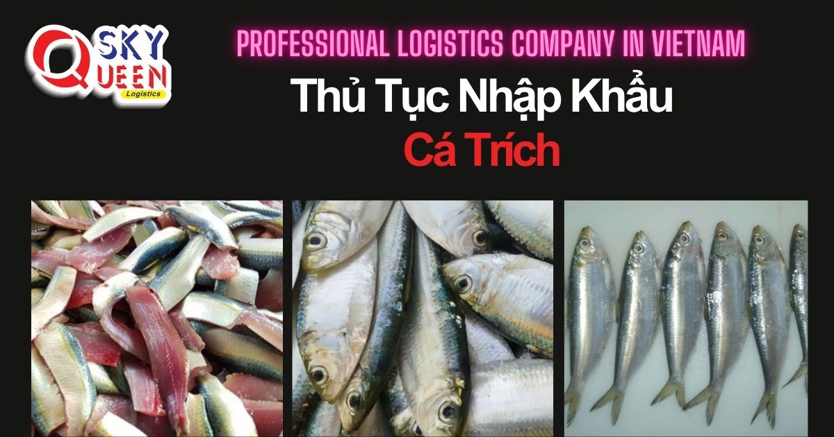 thu-tuc-nhap-khau-ca-trich-sky-queen-logistics