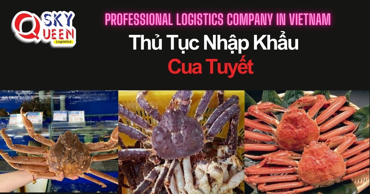 thu-tuc-nhap-khau-cua-tuyet-sky-queen-logistics