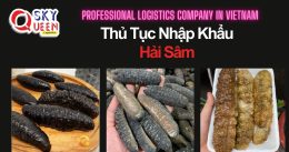 THỦ TỤC NHẬP KHẨU HẢI SÂM