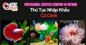 THỦ TỤC NHẬP KHẨU CÁ CẢNH