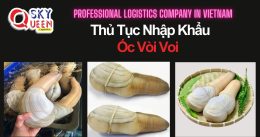 THỦ TỤC NHẬP KHẨU ỐC VÒI VOI