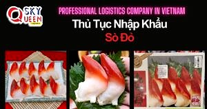 THỦ TỤC NHẬP KHẨU SÒ ĐỎ