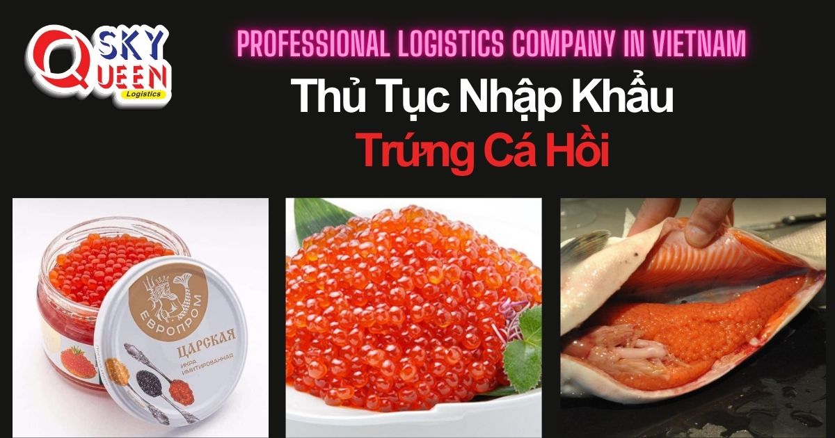 thu-tuc-nhap-khau-trung-ca-hoi-sky-queen-logistics