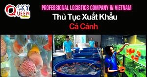 THỦ TỤC XUẤT KHẨU CÁ CẢNH