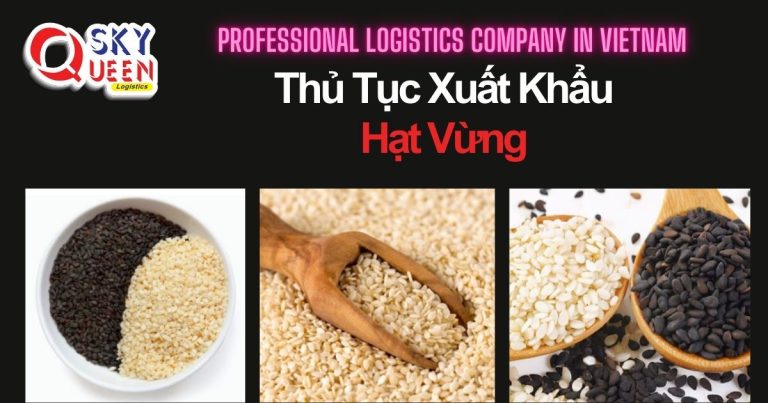 thu-tuc-xuat-khau-hat-vung-sky-queen-logistics