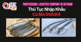THỦ TỤC NHẬP KHẨU CÁ MÒI IWASHI