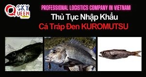 THỦ TỤC NHẬP KHẨU CÁ TRÁP ĐEN KUROMUTSU