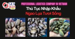 THỦ TỤC NHẬP KHẨU NGAO LỤA TƯƠI SỐNG