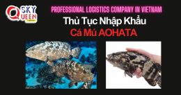 THỦ TỤC NHẬP KHẨU CÁ MÚ AOHATA