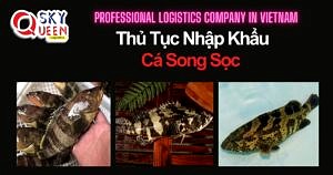 THỦ TỤC NHẬP KHẨU CÁ SONG SỌC